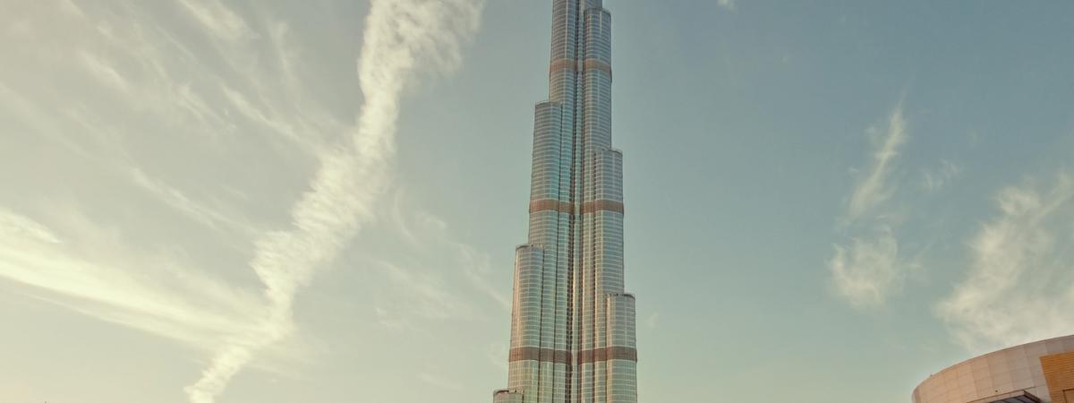 borals testing heart