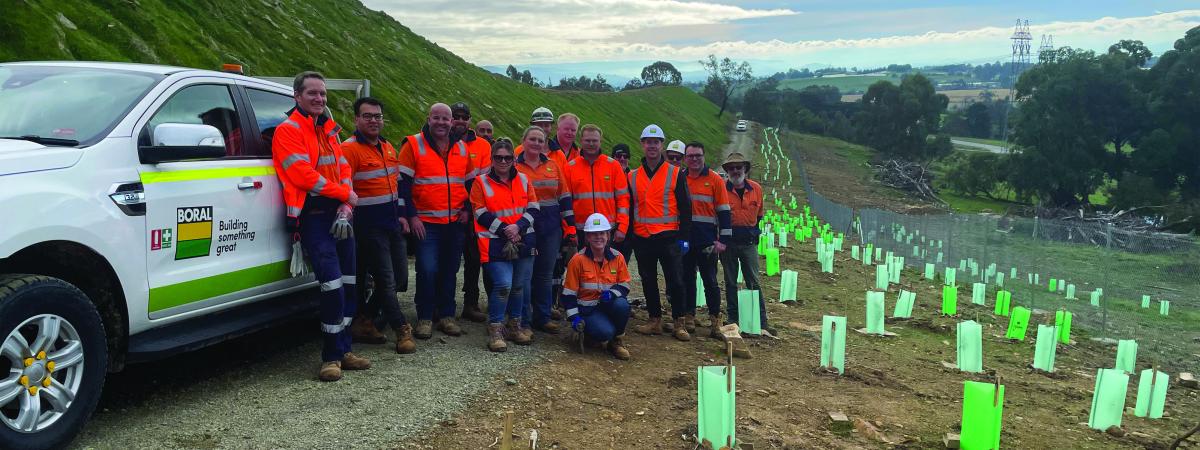 Coldstream Quarry 300 trees