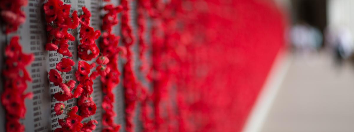 Red poppies at a war memorial