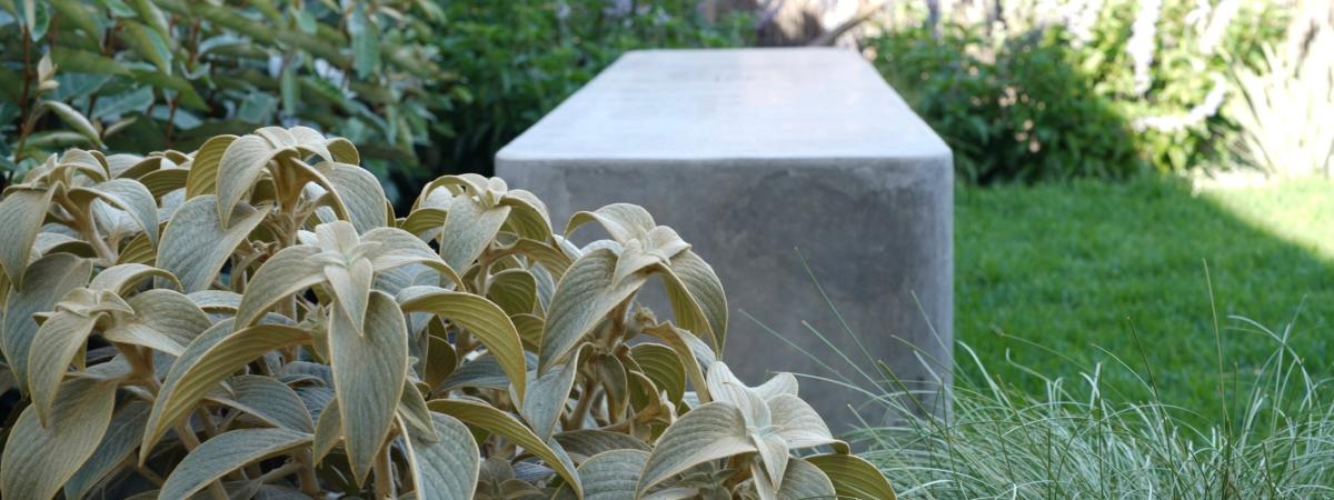 Standard grey concrete bench in lush garden setting