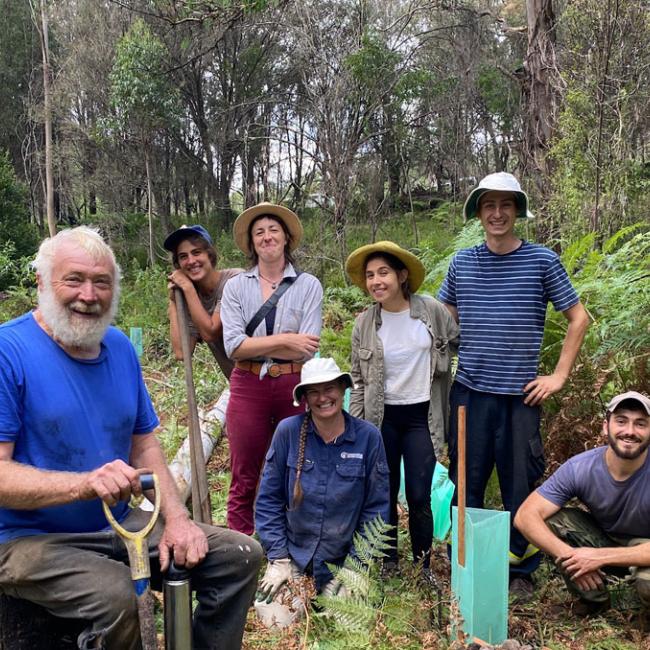 National bushfire recovery work restarts