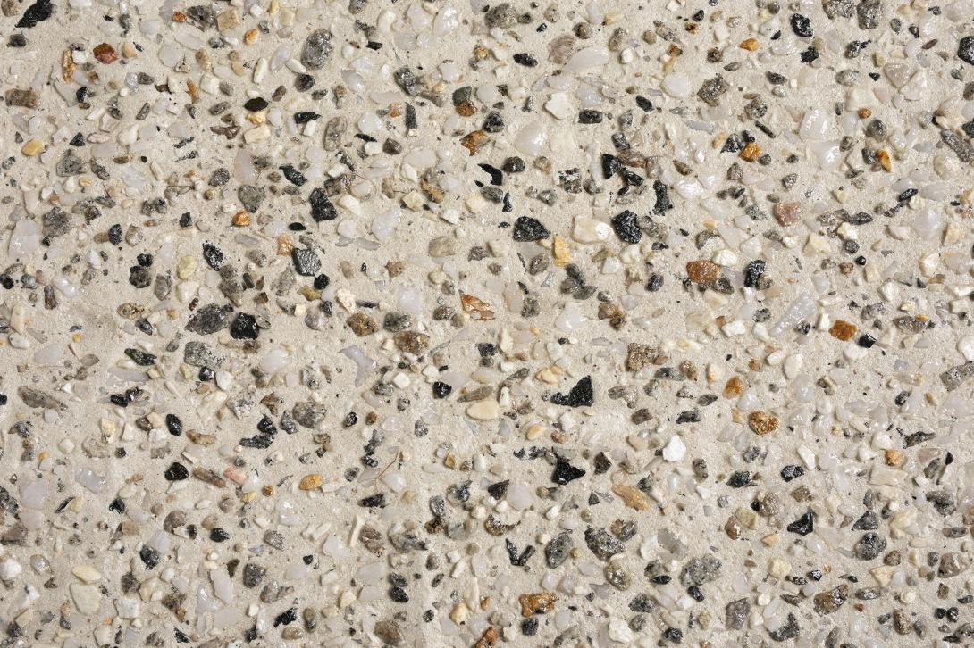 Seabird - Expose - WA