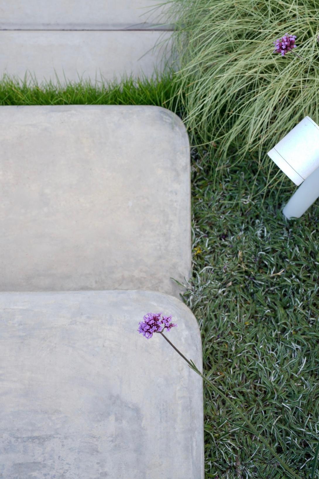 Closeup top-down view of a concrete garden steps in a lush green setting