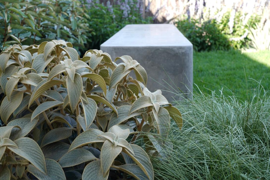 Standard grey concrete bench in lush garden setting